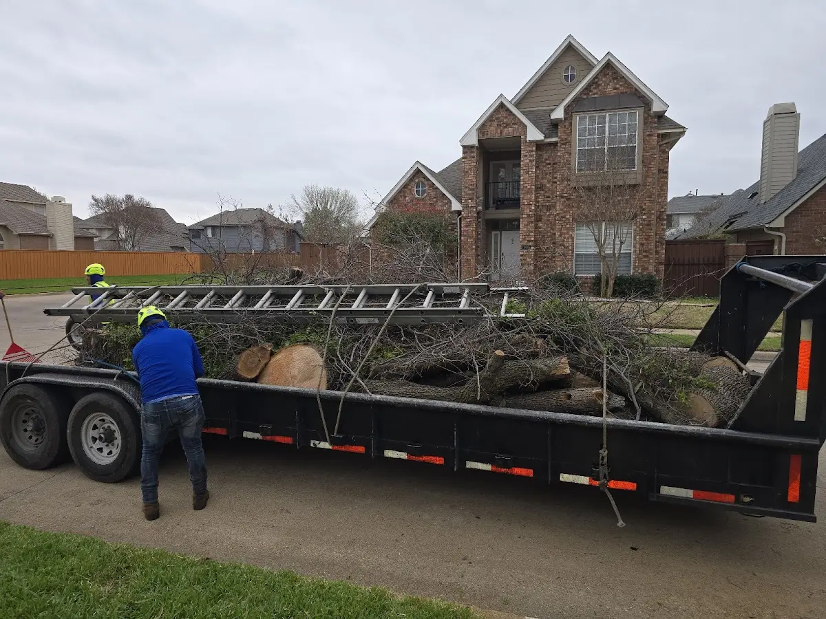 Expert Tree Fertilization with proper safety equipment in Red Lodge